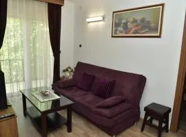 Apartmani Centar Kumanovo