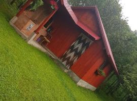 Casa La LEPE，位于Roşia Montană的酒店