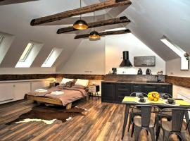 Křišťanka - kouzelné apartmány，位于普拉哈季采的酒店