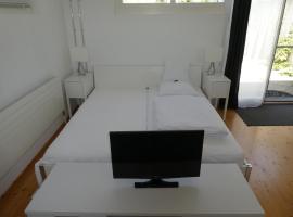 Studio Elegant，位于Ueberstorf的酒店