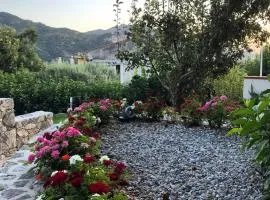 LA PERGOLA - Affitta Camere