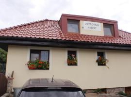 Ubytování Benátky u Litomyšle，位于利托米什尔的酒店