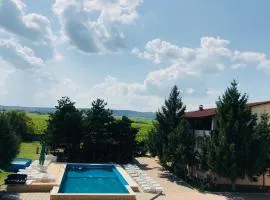 Pensiunea Paradis Vrâncean