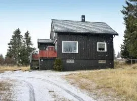 Lovely Home In Sjusjøen With Kitchen