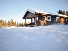 Gorgeous Home In Gol With House A Mountain View，位于Sanderstølen的乡村别墅