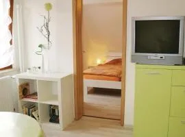 Pet Friendly Apartment In Schleusingen