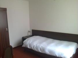 De Korenbeurs，位于许尔斯特的酒店