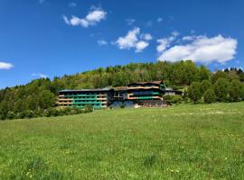Natura Hotel Bodenmais - inkl Soft- und Heißgetränkeflat，位于博登迈斯的酒店