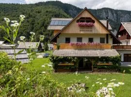 TriSa apartments Bohinj