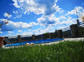 Casa Sviniceană，位于Sviniţa的带泳池的酒店