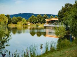 Camelot Resort，位于Husasău de Criş的酒店