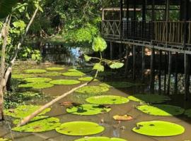 Madreselva Rio，位于Puerto Alegría的酒店