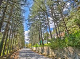 Balneological resort of sulori，位于Vani的酒店