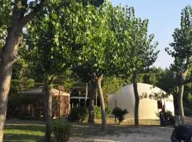 Camping Torre Mucchia