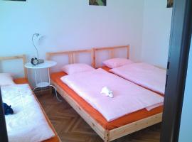 UBYTOVÁNÍ SVOJANOV，位于Svojanov的酒店