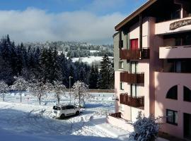 Appartement dernier étage au pied des pistes HIRMENTAZ，位于贝勒沃舒芙蕾滑雪缆车附近的酒店