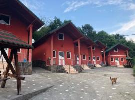 Pensiunea Dealu Hera，位于Rona de Sus的酒店