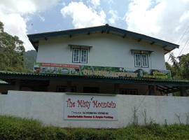 The Misty Mountain Guest House，位于Haldummulla的酒店