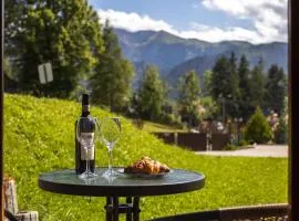 Apartament Południowy z widokiem- sauna, jacuzzi, kominek