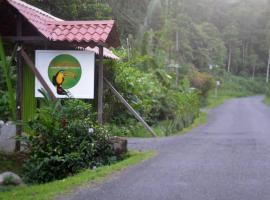 Pachamama Jungle River Lodge - Punta Uva，位于别霍港的酒店