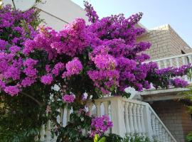 Dada Apartments，位于洛帕的酒店