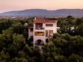 Unique View Villa