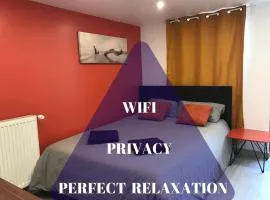 Perfect Relaxation - Paris Antony