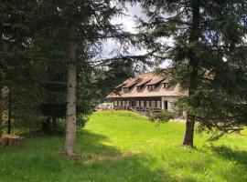 Chata Rovina，位于Hartmanice的民宿