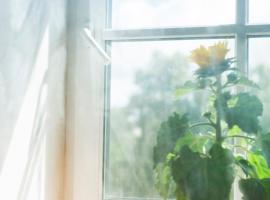 德曼斯酒店，位于萨尔杜斯的酒店