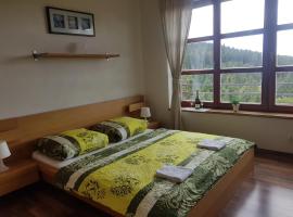Vysokohorský apartmán Cihlářka，位于派克波特斯耐兹库的酒店