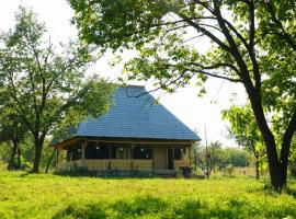 Căsuța din Gradina，位于Breb的酒店