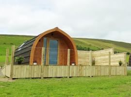 Lilly's Lodges Orkney Hedgehog Lodge，位于Finstown的山林小屋