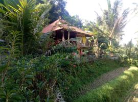 Babahan Farmstay，位于塔巴南的山林小屋