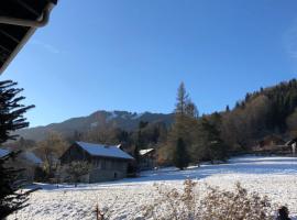 2 pièces avec terrasse Morillon Village，位于莫里永的酒店