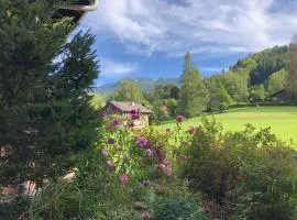 2 pièces avec terrasse Morillon Village