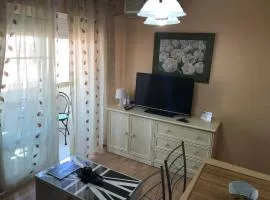 Homely Apartments Calle Apolo