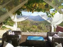 Quinta Vale de Carvalho