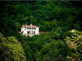 ΡΑΣΤΩΝΗ Πήλιο，位于维兹伊萨的住宿加早餐旅馆