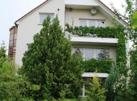 Apartman-Donau Tát，位于Tát的酒店