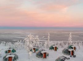 金冠 - 莱文伊格鲁特度假屋酒店，位于列维Peak Lapland Viewing Deck附近的酒店