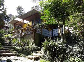 Chales Bamboo Jungle，位于彼得罗波利斯的山林小屋