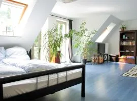 Zentrale Ferienwohnung Anker im Sonnenblumenhaus