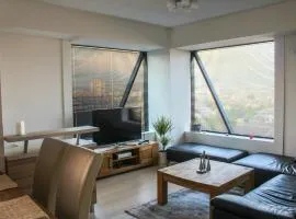 High End Apartments in Diamond Garden Building