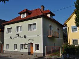 Gästehaus Geigenbauer，位于Micheldorf in Oberösterreich的酒店