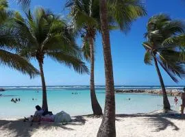 Paradis Caraïbes