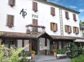 Hotel Pini