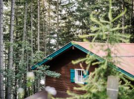 Berghütte Hochpillberg，位于Pill的酒店