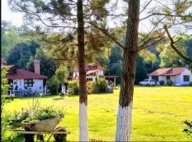 Cabañas los cactus 2