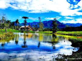 Fazenda Fernandes Pousada，位于Treviso的酒店