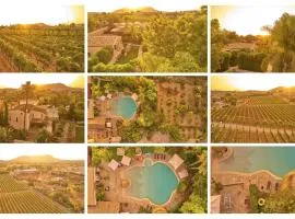 Agroturismo Sa Vinya des Convent